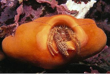 微软：XGP非常、非常可持续 没有在烧钱